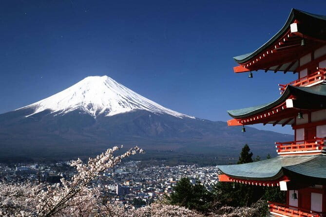 Tokyo City Tour by Private Car & English Guide - Pricing and Booking