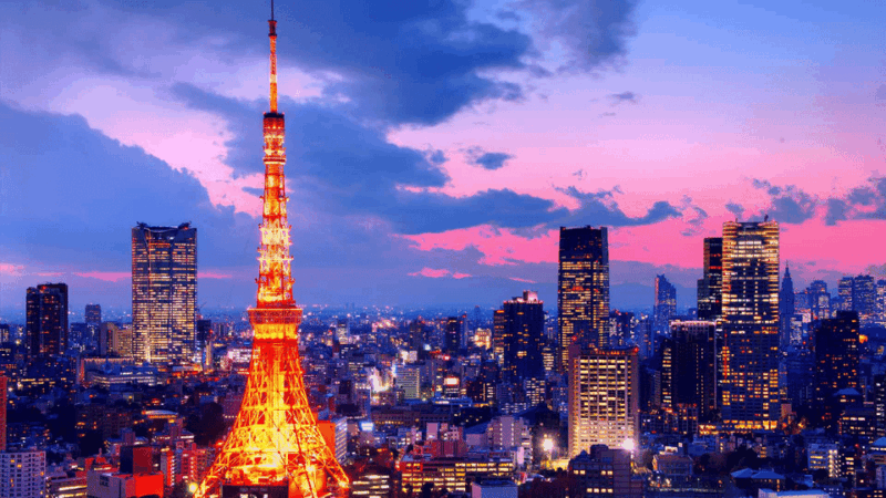 Tokyo City Tour Private Customized Sightseeing Day Tour - Key Points