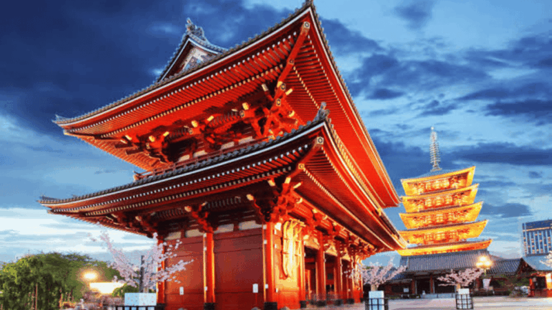Tokyo City Tour Private Customized Sightseeing Day Tour - Itinerary Highlights