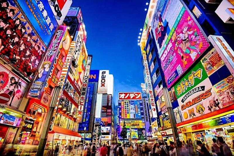 Tokyo: City Tour Tokyo With Driver - Experience Highlights