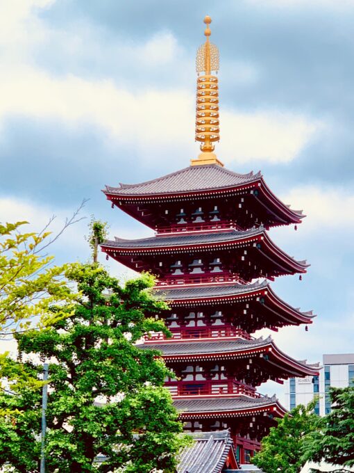 Tokyo: City Tour Tokyo With Driver - Meiji Shrine and Takeshita Street