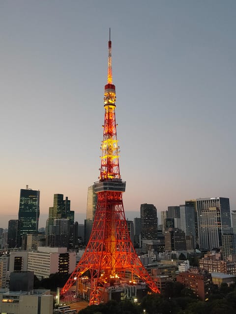 Tokyo: City Tour Tokyo With Driver - Shibuya Crossing and Odaiba