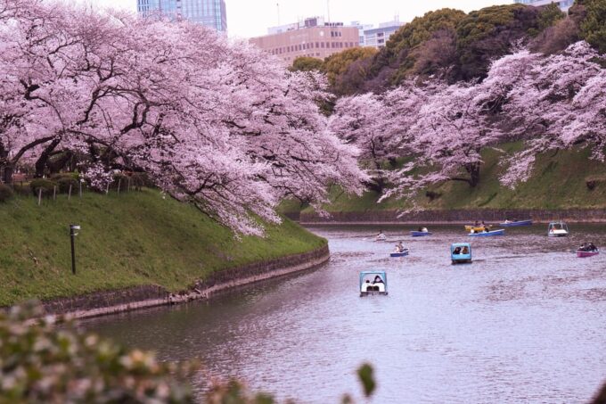 Tokyo: City Tour Tokyo With Driver - FAQ