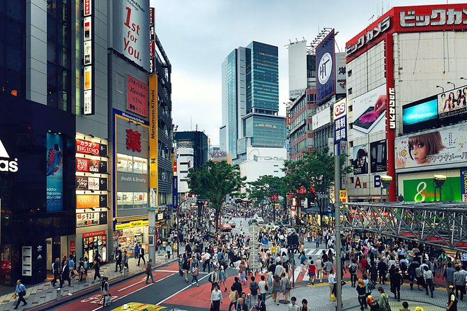 Tokyo Custom Full Day Tour - Guest Expectations