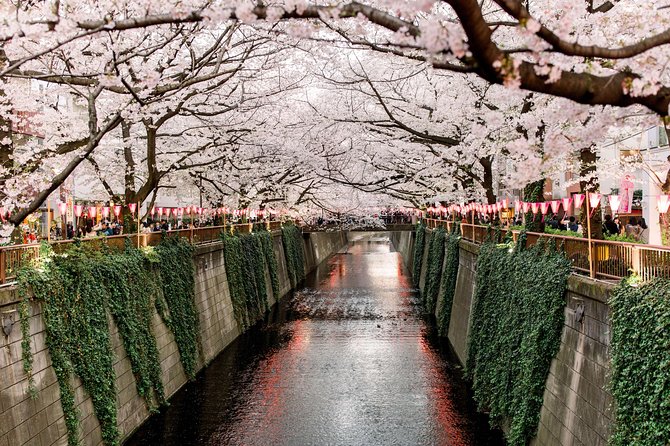 Tokyo Custom Full Day Tour - Transportation Options