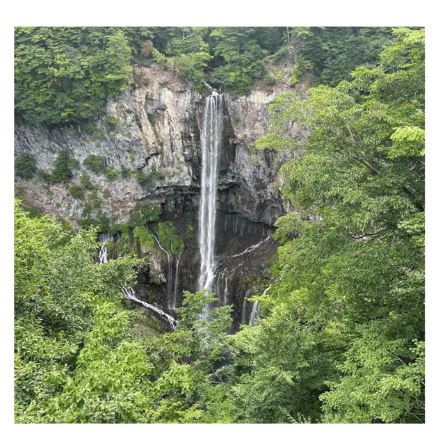 Tokyo: Customised Unmissable Nikko Unesco Private Day Tour - Key Points