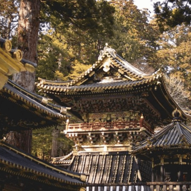Tokyo: Customised Unmissable Nikko Unesco Private Day Tour - Customer Experience and Reviews