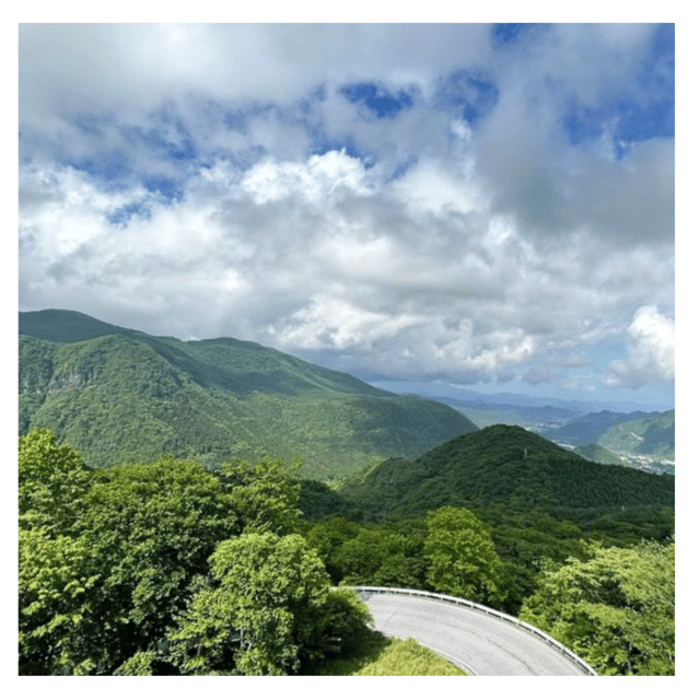 Tokyo: Customised Unmissable Nikko Unesco Private Day Tour - Important Information and Guidelines