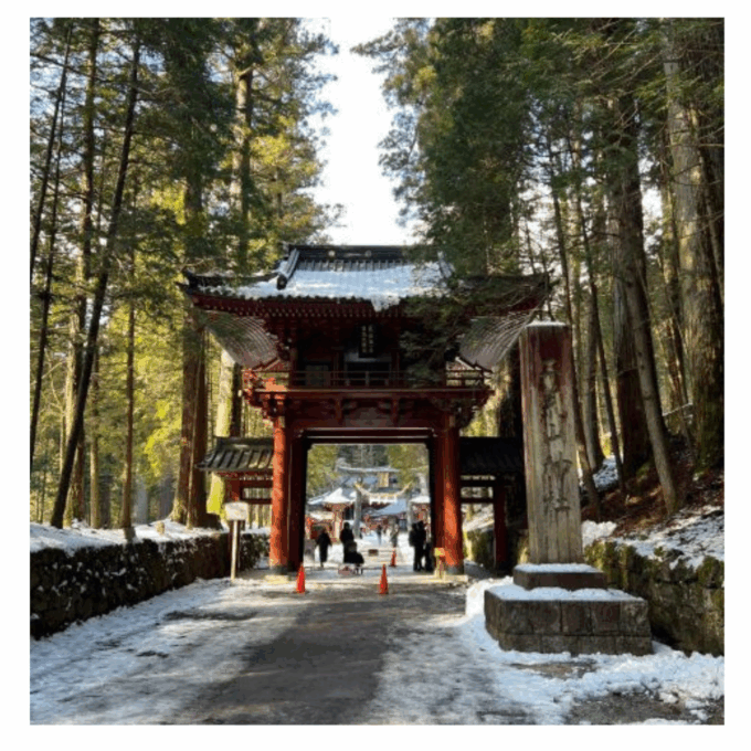 Tokyo: Customised Unmissable Nikko Unesco Private Day Tour - Tour Customization