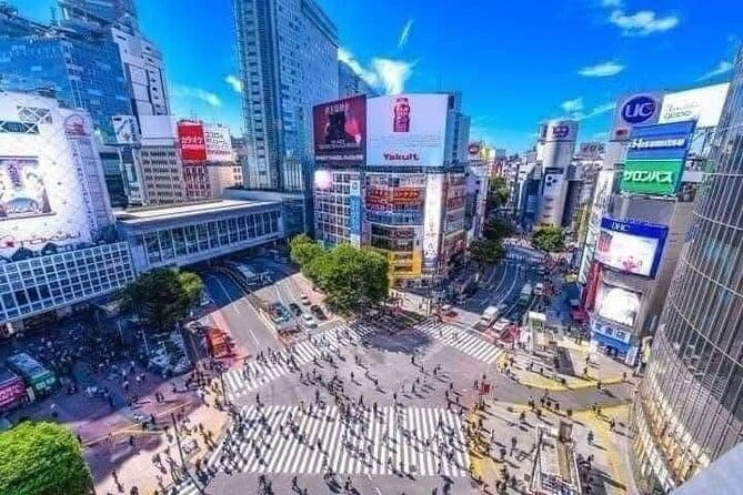 Tokyo Customizable Private Tour With English Speaking Driver - Key Points