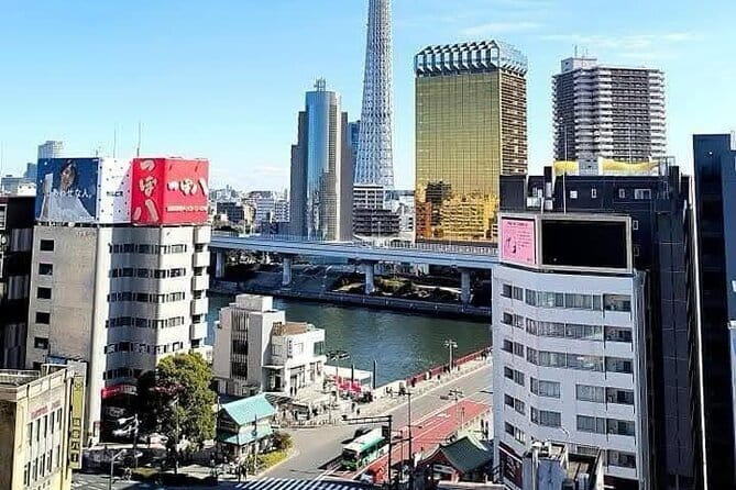 Tokyo Customizable Private Tour With English Speaking Driver - Inclusions and Costs