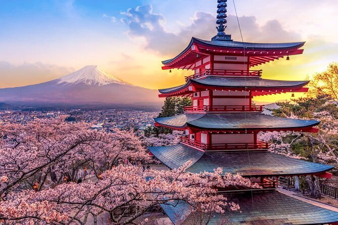 Tokyo Customizable Private Tour With English Speaking Driver - Accessibility and Services