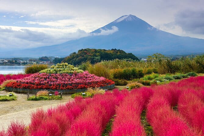 Tokyo Customizable Private Tour With English Speaking Driver - Customizing Your Sightseeing Experience