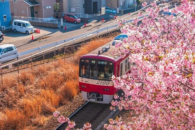 Tokyo Customizable Private Tour With English Speaking Driver - Taking in the Citys Rich Culture and History