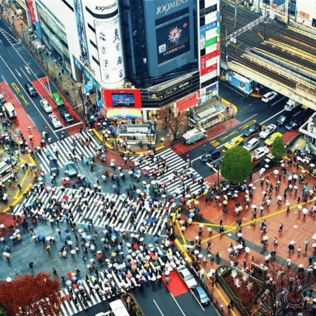 Tokyo Customize Private City Tour By English Speaking Driver - Hotel Pickup and Drop-off