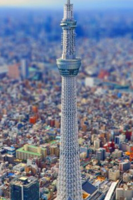 Tokyo Customize Private City Tour By English Speaking Driver - Important Information for Passengers