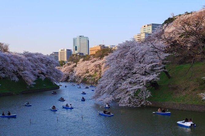 Tokyo Customized City Tour With English Speaking Driver - Tour Highlights
