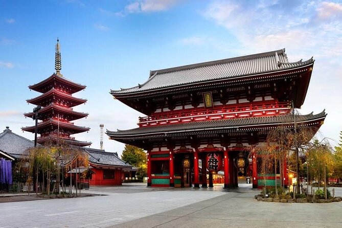 Tokyo Customized City Tour With English Speaking Driver - Customization Options