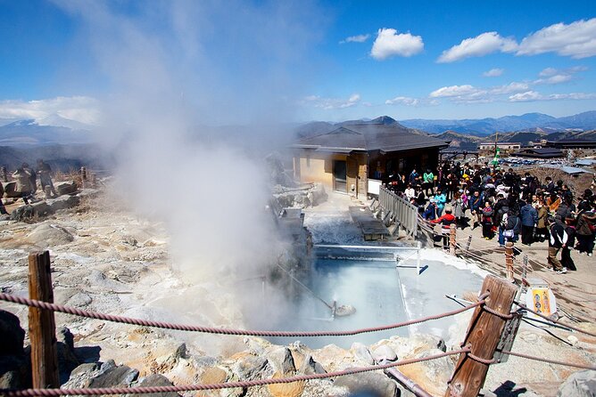 Tokyo Day Tour in Mt. Fuji, Lake Ashi Cruise and Owakudani Cable - Tour Conditions and Recommendations