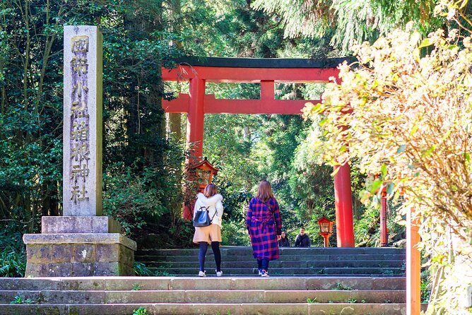 Tokyo Day Tour in Mt. Fuji, Lake Ashi Cruise and Owakudani Cable - Cruising on Lake Ashi