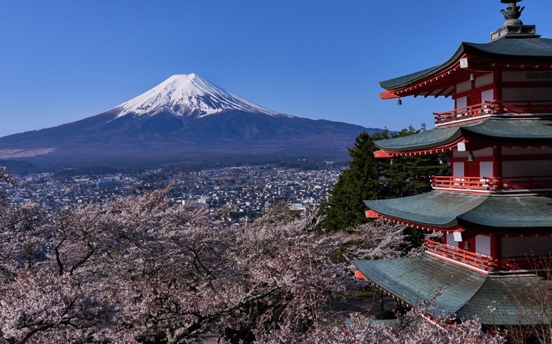 Tokyo Day Trip -Mount Fuji Private Tour From Tokyo - Highlights of the Tour