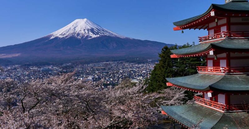 Tokyo Day Trip -Mount Fuji Private Tour From Tokyo - Inclusions and Exclusions
