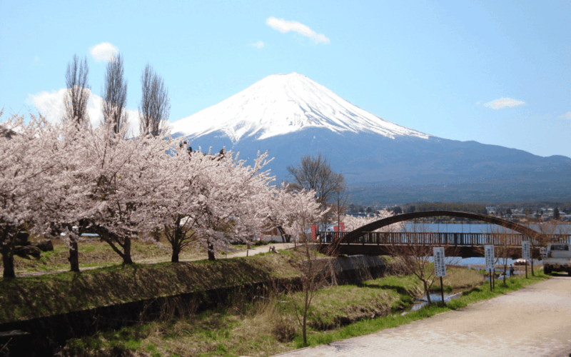 Tokyo Day Trip -Mount Fuji Private Tour From Tokyo - Pickup and Drop-off Details