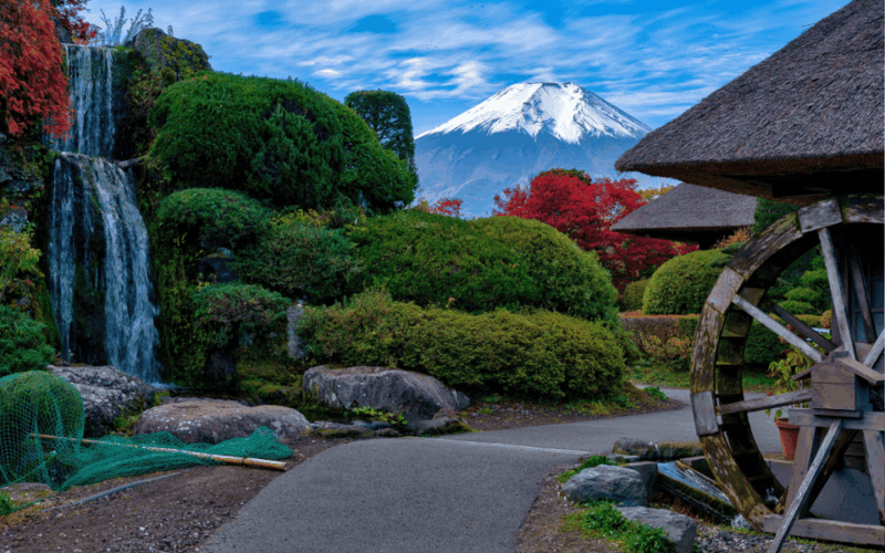 Tokyo Day Trip -Mount Fuji Private Tour From Tokyo - Sightseeing and Exploration Opportunities