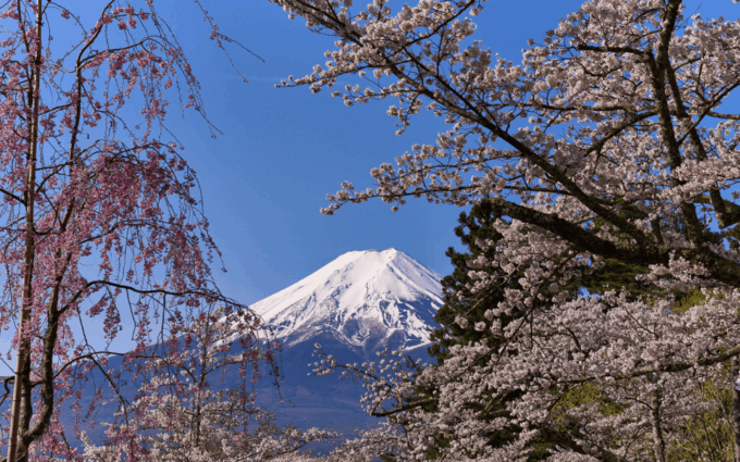 Tokyo Day Trip -Mount Fuji Private Tour From Tokyo - Important Information and Considerations