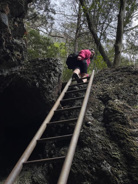 Tokyo Day Trip : Mountain Ridge Adventure - Itinerary Details