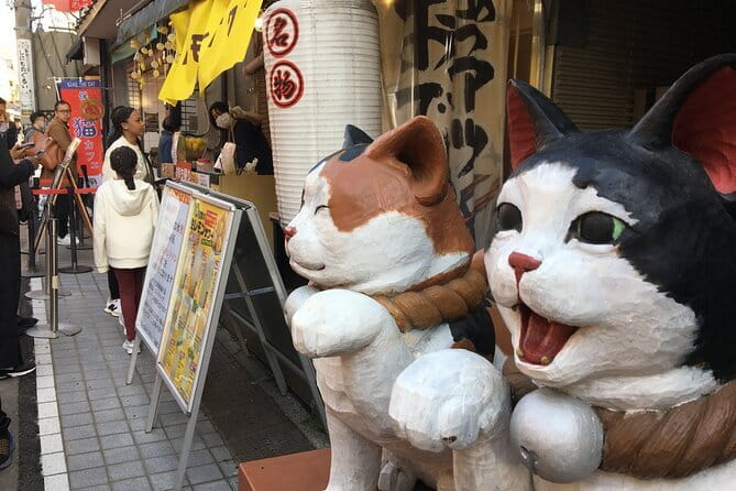 Tokyo Day Trip to Izu and Shimoda - Booking Information