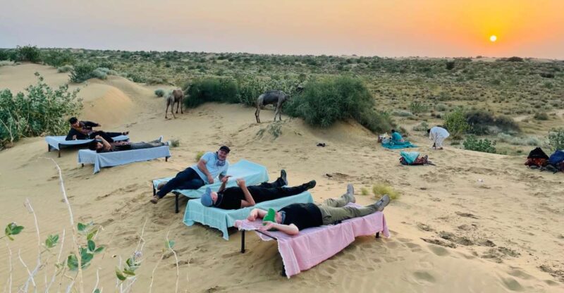 Tokyo Desert Safari Overnight Thar Desert Experience - Customer Reviews