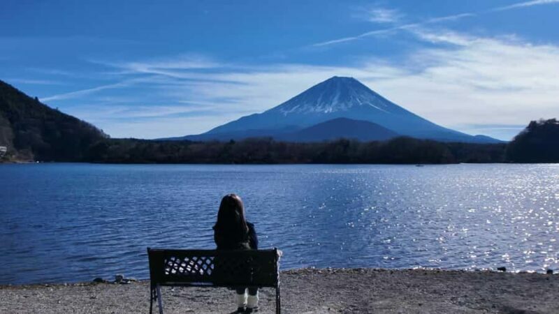 Tokyo: Different Views of Mt Fuji: 3 Lakes & Train Day Tour - Final Thoughts: Is This the Right Tour for You?