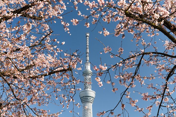 Tokyo Discovery:Exclusive Private Car Tour for an Epic Adventure! - Entry and Admission Fees