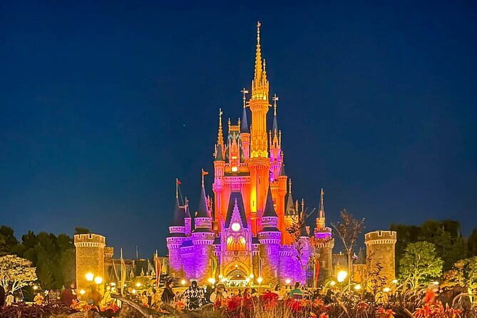 Tokyo Disney Resort Park E-Tickets With Optional Tokyo Metro Pass - Tokyo Metro Pass Option