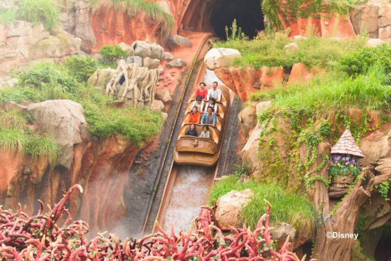 Tokyo Disneyland 1-Day Passport - Accessibility and Convenience