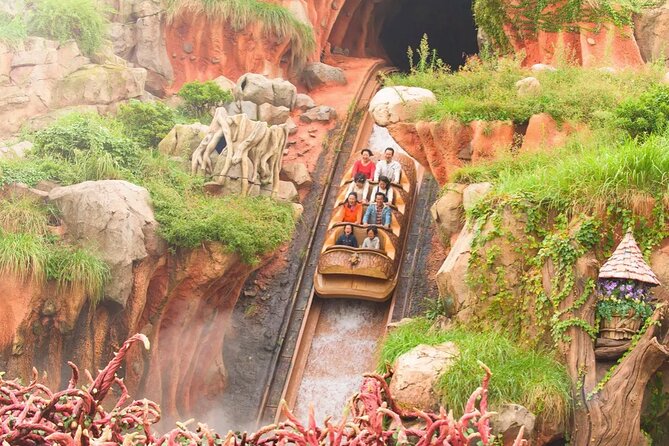 Tokyo Disneyland Park Japan Admission Ticket - Identification and Verification Requirements