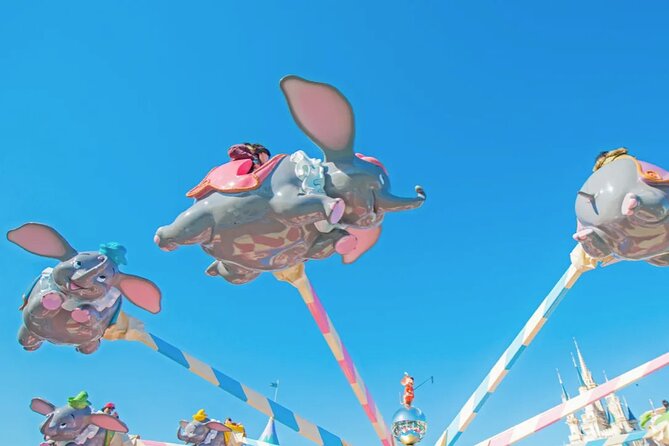 Tokyo Disneyland Park Japan Admission Ticket - Policies and Disclaimers