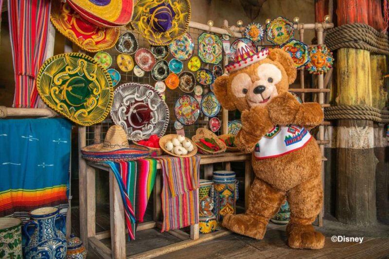 Tokyo: DisneySea 1-Day Passport - Entry Requirements for Attractions
