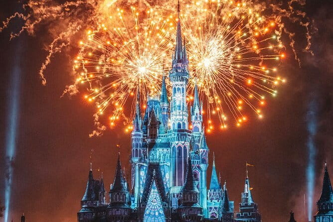 Tokyo Disneysea 1 Day Ticket With Door-To-Door Private Transfer - Additional Services