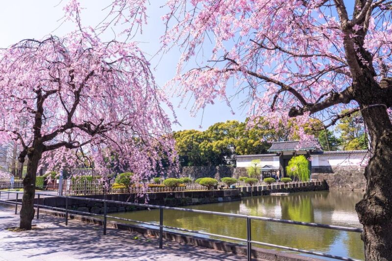 Tokyo: East Garden of the Imperial Palace Walking Tour - Highlights of the Experience