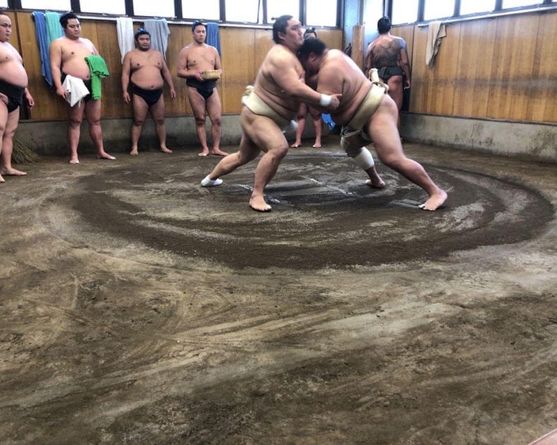 Tokyo: Exclusive Access to Sumo Morning Practice With Photos - Meeting Point and Itinerary