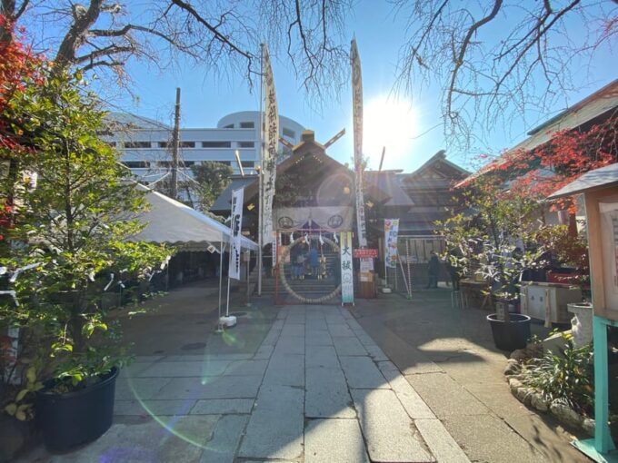 Tokyo: Explore the Highlights of Tsukiji Market (DEU or ENG) - Customer Feedback and Ratings