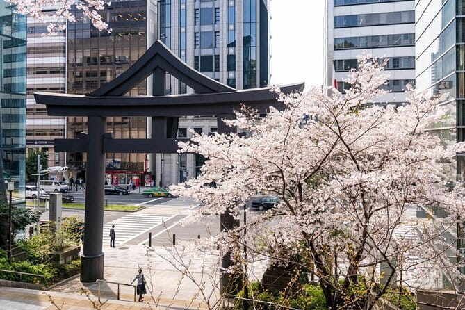 Tokyo Food Adventure: Street Food, Teppanyaki Cuisine, Shrine Etc - Navigating Tokyos Efficient Transportation