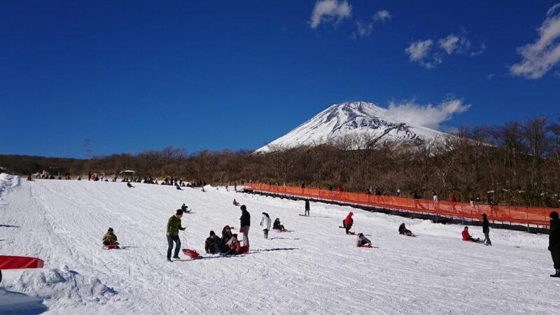 Tokyo: Fuji Mountain Skiing and Hot Spring Day Trip - Key Points
