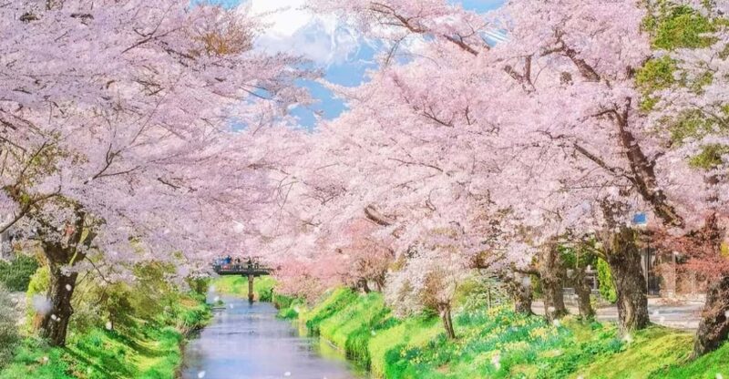 Tokyo: Fuji Wind & Ice Cave, Ninja Village & Hot Spring Tour - Fugaku Wind Cave