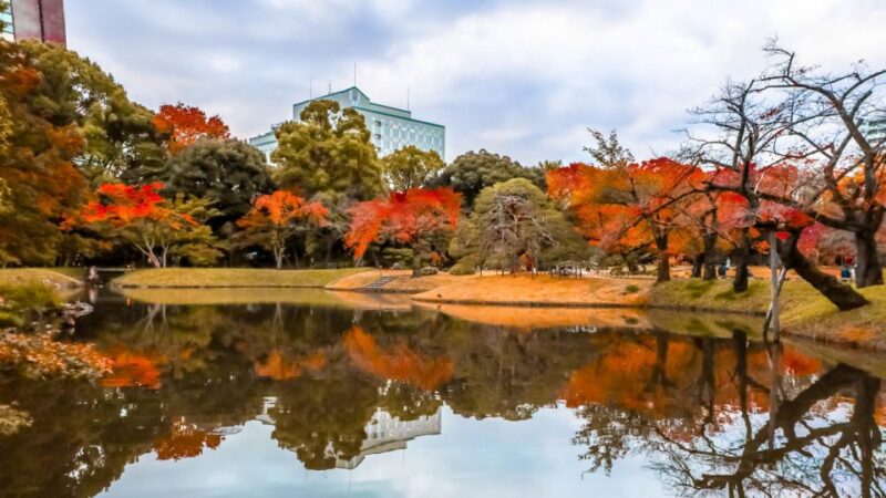 Tokyo: Full-Day Japanese Garden Private Guided Tour - Experience Highlights