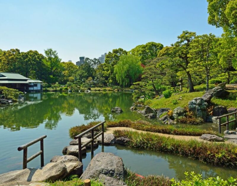 Tokyo: Full-Day Japanese Garden Private Guided Tour - Gardens to Explore