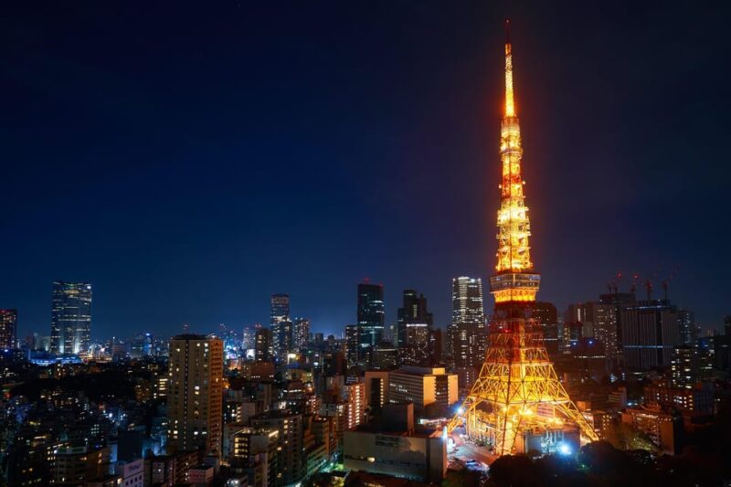 Tokyo: Full Day Private Tour by Luxury Vehicle - Suitability