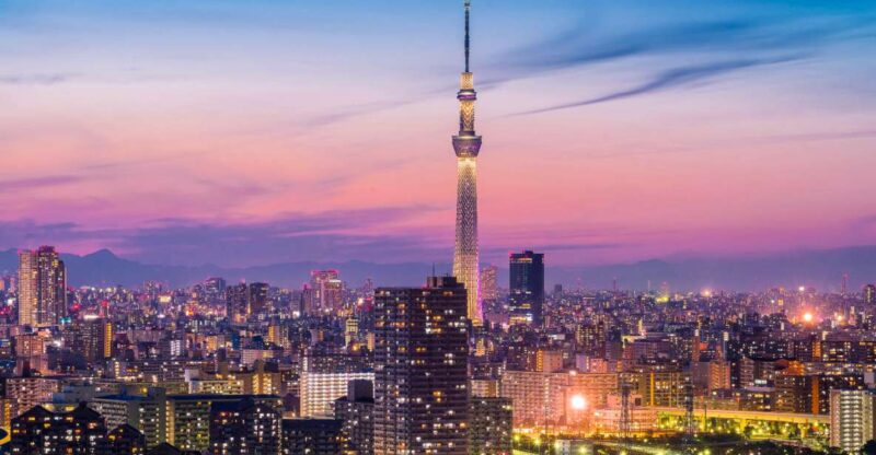 Tokyo: Full-Day Private Tour With English Guide - Tokyo Skytree Ascent